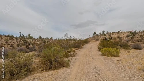 Desert off road recreation trail Joshua Tree Arizona. Scenic Parkway Highway 93. Mountain desert valley. Dry arid environment. Natural beauty recreation area. Between Phoenix and Las Vegas. Landscape.