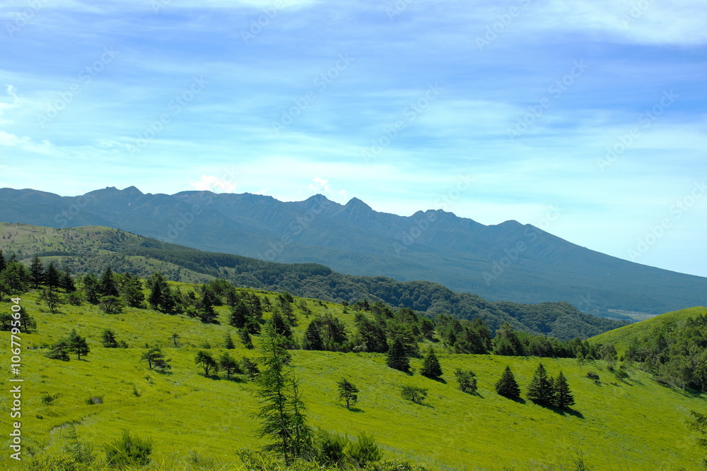 Fototapeta premium 車山高原からの八ヶ岳連峰