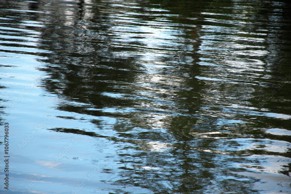 Fototapeta premium 湖の水面の波紋