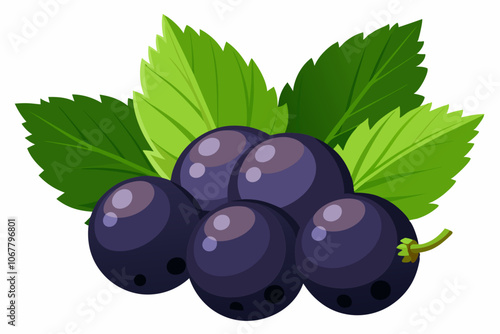 Closeup of fresh black currants with green leaves isolated on a white background