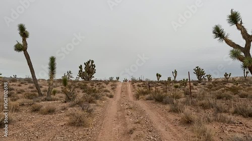 Desert off road red trail Josua tree Nevada POV 1. Scenic Parkway Highway 93. Mountain desert valley. Dry arid environment. Natural beauty recreation area. Between Phoenix and Las Vegas. Landscape.
