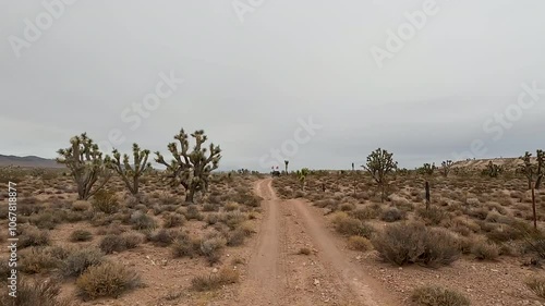 Desert off road red trail Josua tree Nevada POV fast. Scenic Parkway Highway 93. Mountain desert valley. Dry arid environment. Natural beauty recreation area. Between Phoenix and Las Vegas. Landscape.