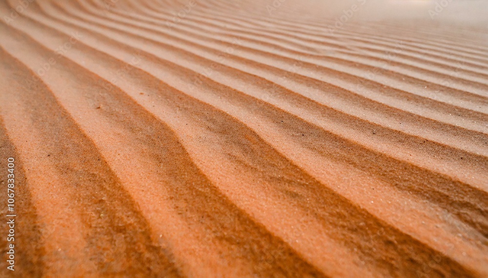 wasteland wasteland