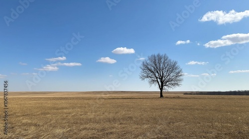 Solitary Sentinel: A lone, leafless tree stands sentinel against a vast, golden prairie under a brilliant blue sky, evoking a sense of solitude and resilience. 