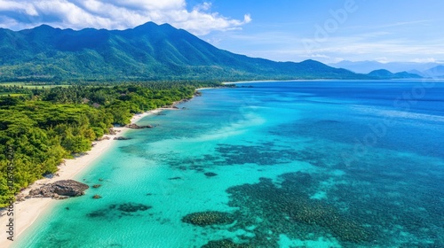 Tropical Beach with Turquoise Waters