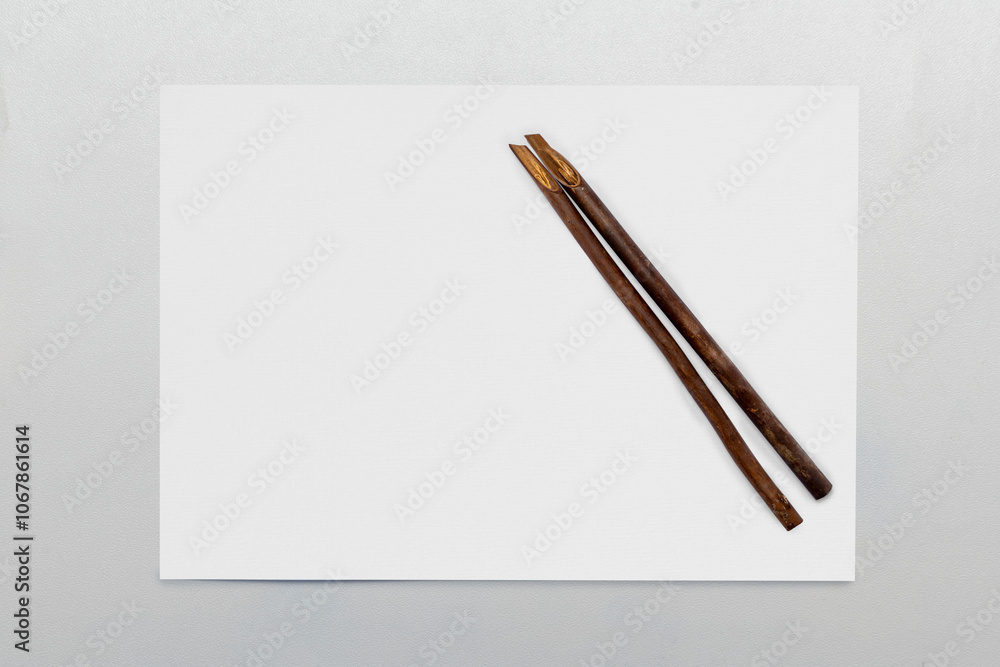 Calligraphy reeds on white paper isolated over white background Calligraphy reeds on white paper isolated over white background