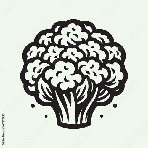 cauliflower vector, cauliflower silhouette vector icon black and white