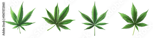 Obraz na płótnie Four different types of marijuana leaves are shown in a row w salonie