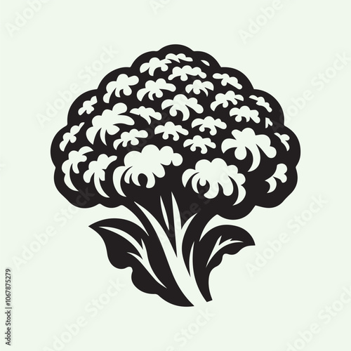 cauliflower vector, cauliflower silhouette vector icon black and white