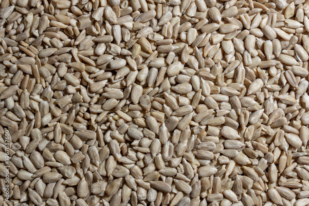 Peeled Sunflower Seeds Background: A Culinary Canvas of Shell-free Sunflower Seeds, Creating a Lively and Textured Background for Gourmet Cooking - Top View, Flat Lay Peeled Sunflower Seeds Background: A Culinary Canvas of Shell-free Sunflower Seeds, Creating a Lively and Textured Background for Gourmet Cooking - Top View, Flat Lay