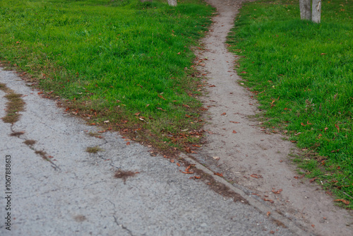 A path in a park with a grassy area on either side