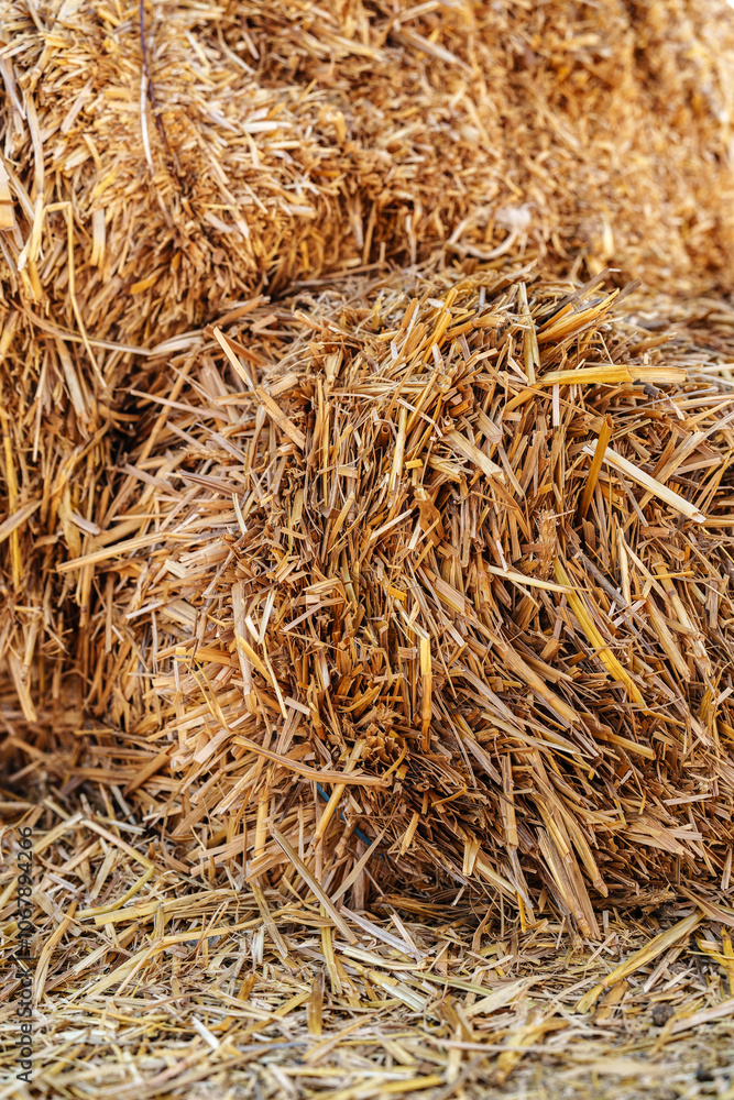 Bales of straw stacked in a farm setting during the warm afternoon Bales of straw stacked in a farm setting during the warm afternoon