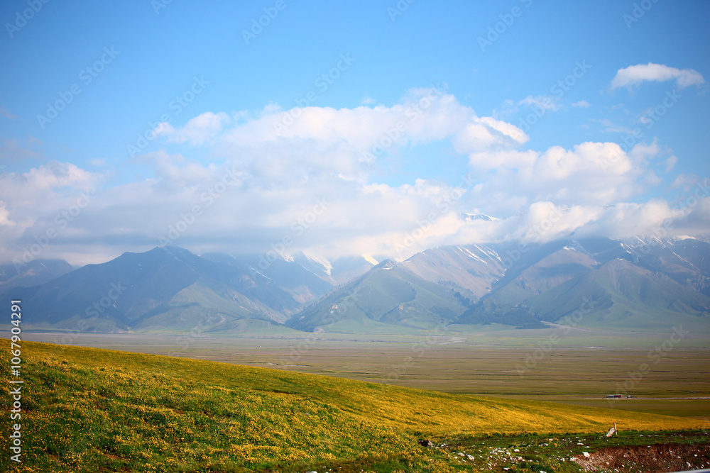 Fototapeta premium The scenery of Yili, Xinjiang, China in summer
