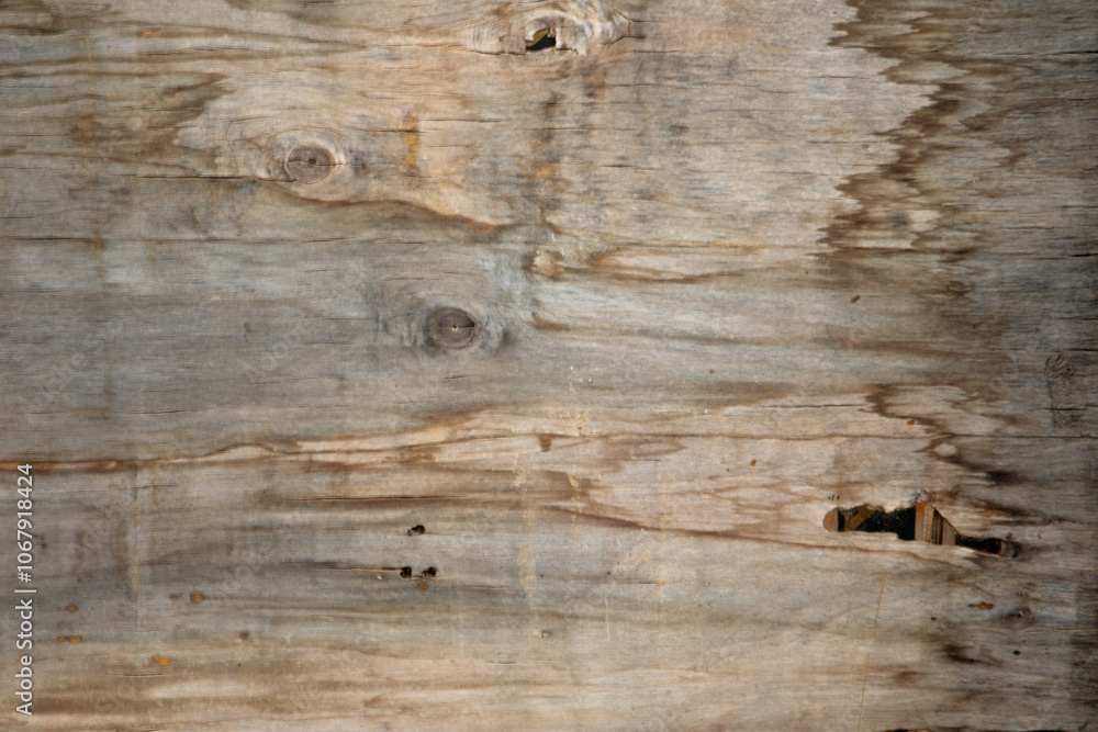 wood texture wood texture