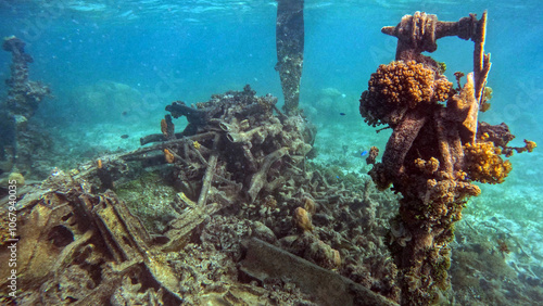 WWII fighter plane engine wreckage in Chuuk lagoon, Micronesia