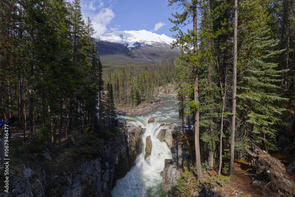 Sunwapta Falls on a Sunny Spring Day Sunwapta Falls on a Sunny Spring Day