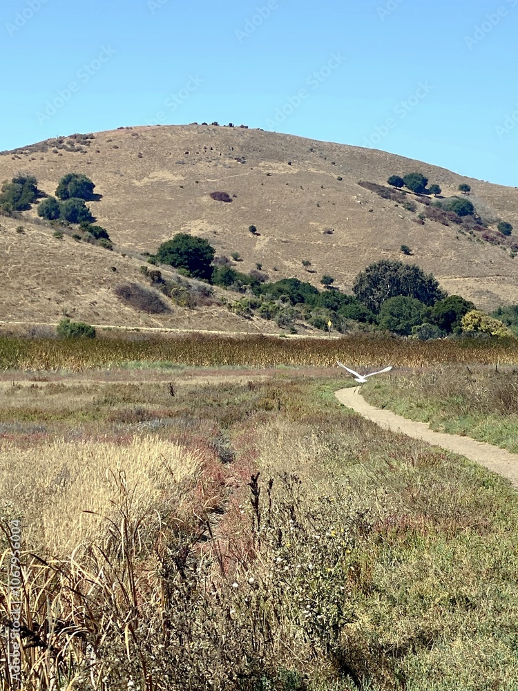 Fototapeta premium landscape in the mountains