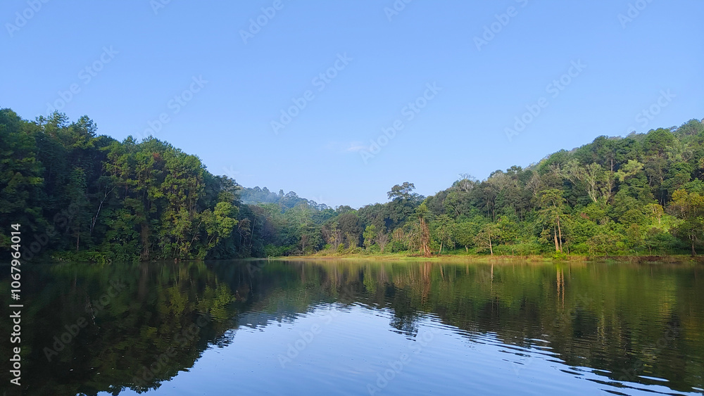 A serene lake reflects a dense forest of tall green trees on a clear day. A serene lake reflects a dense forest of tall green trees on a clear day.