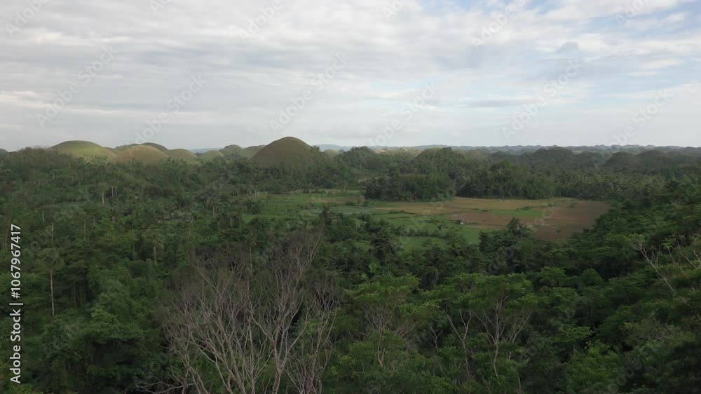 Chocolate hills geological formation is rising above the lush green vegetation of bohol island in Philippines under a cloudy sky Chocolate hills geological formation is rising above the lush green vegetation of bohol island in Philippines under a cloudy sky