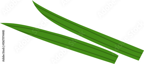 Pandan Leaves Illustration