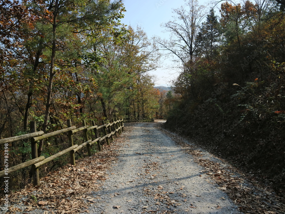 Fototapeta premium 가을풍경