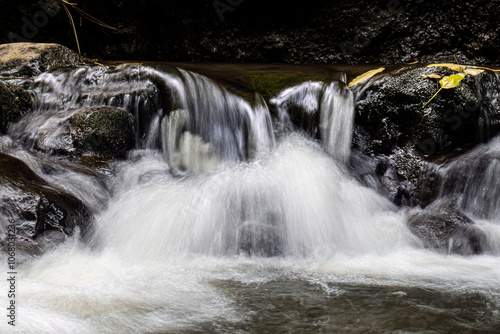 A stream along the Pipiwai Trail in Haleakala National Park on the island of Maui in Hawaii.