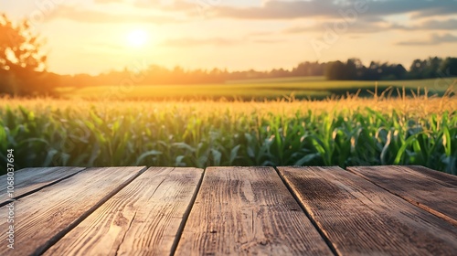 Rustic Wooden Table with a Cornfield Background