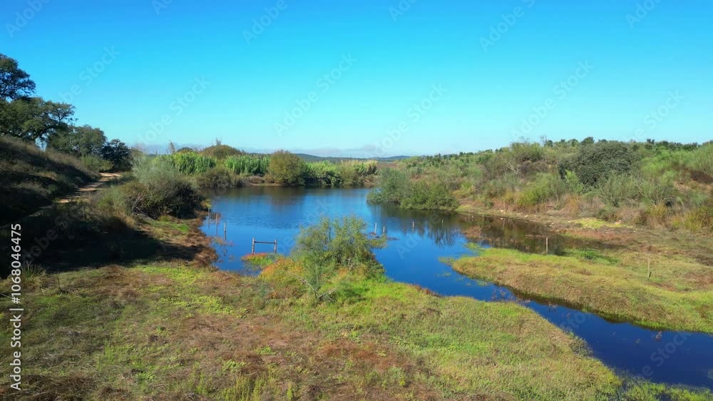 Flying over a small lake surrounded by cork trees,alentejo,Portugal Flying over a small lake surrounded by cork trees,alentejo,Portugal