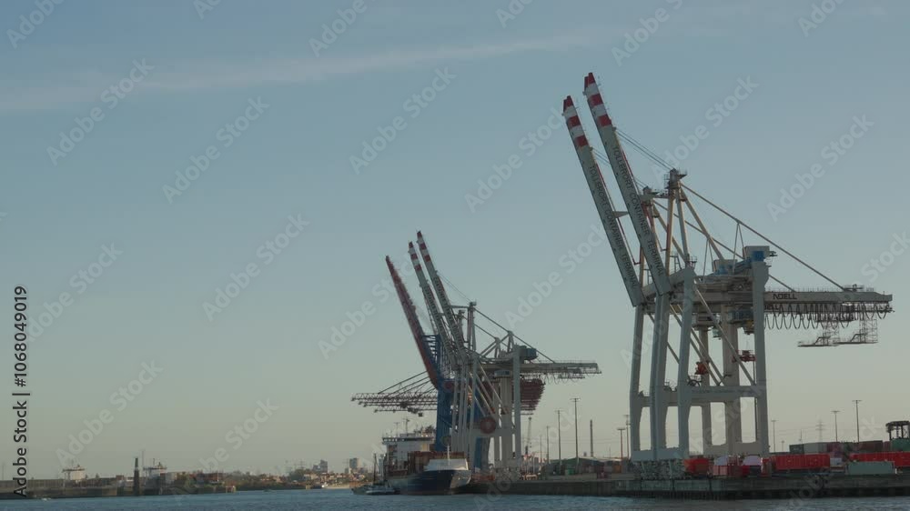 Majestic port cranes lining Hamburg's Elbe River. Perfect for documentaries or travel series showcasing industrial landscapes and urban logistics. Majestic port cranes lining Hamburg's Elbe River. Perfect for documentaries or travel series showcasing industrial landscapes and urban logistics.