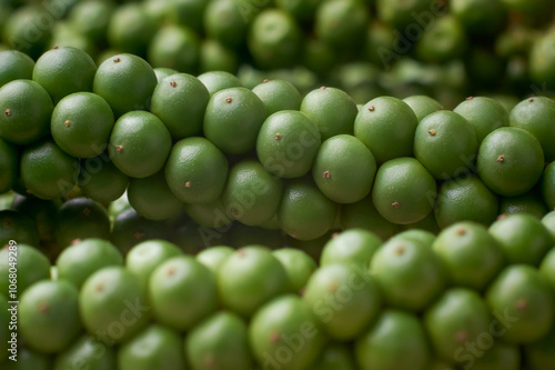 closeup macro view of maturing black peppercorns, young herbal spice with peppery heat in soft focus, culinary seasoning background