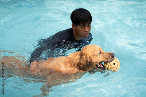 Golden retriever with trainer in swimming pool 