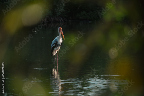 In the mangrove forest, a group of ornithologists studied a wild flock of birds, deepening their understanding of wildlife and the intricate behaviors of these fascinating animals. photo