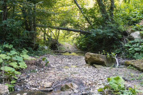 nature park , a walk along the riverbed with an overview of the stone bottom and banks