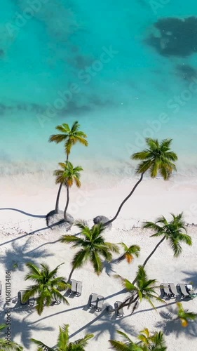 Vertical aerial top view along tropical hotel beach with white sand and palm trees. Turquoise water of the Caribbean sea. Best place for summer vacations