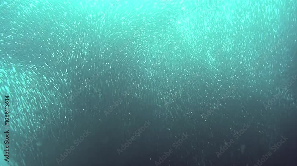The image is of a blue ocean with many small bubbles. The bubbles are scattered throughout the water, creating a sense of movement and energy The image is of a blue ocean with many small bubbles. The bubbles are scattered throughout the water, creating a sense of movement and energy