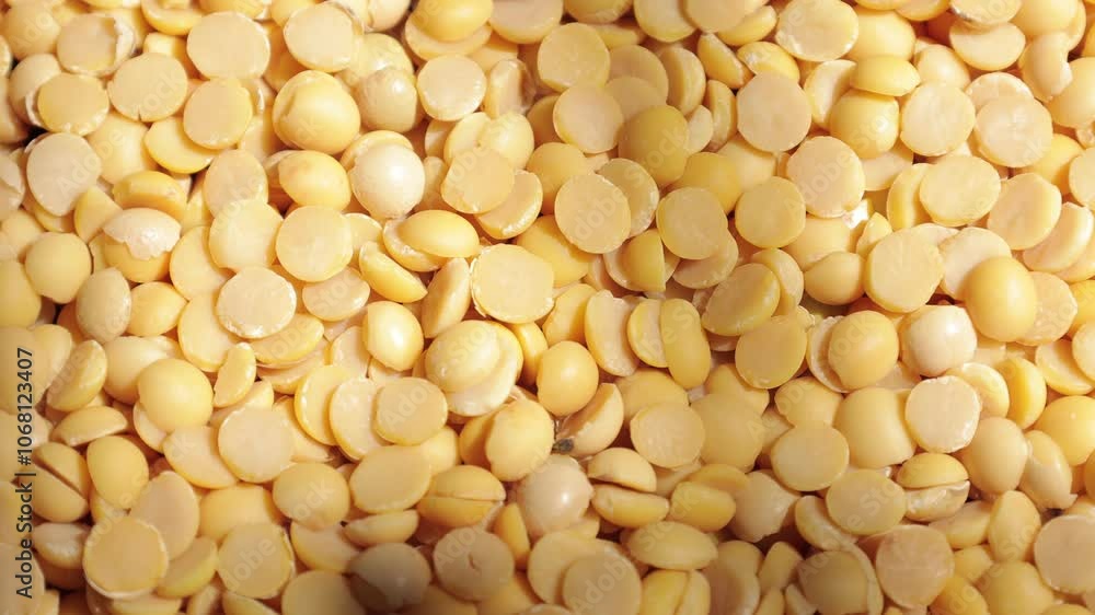 close up of beans close up of beans