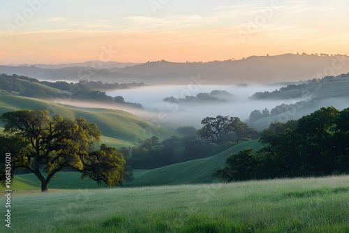 Sunrise breaking through morning fog over rolling hills, foggy weather, peaceful dawn