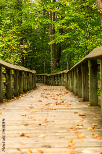 Wooden walking bridge through a forest.