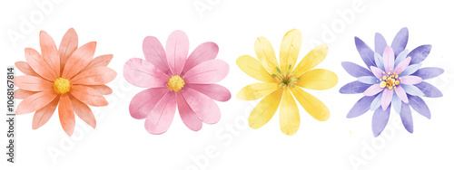 Floral set, flowers border, watercolor digital illustration for greeting card, poster, invitation and other printing design. Isolated on white. Hand painting.