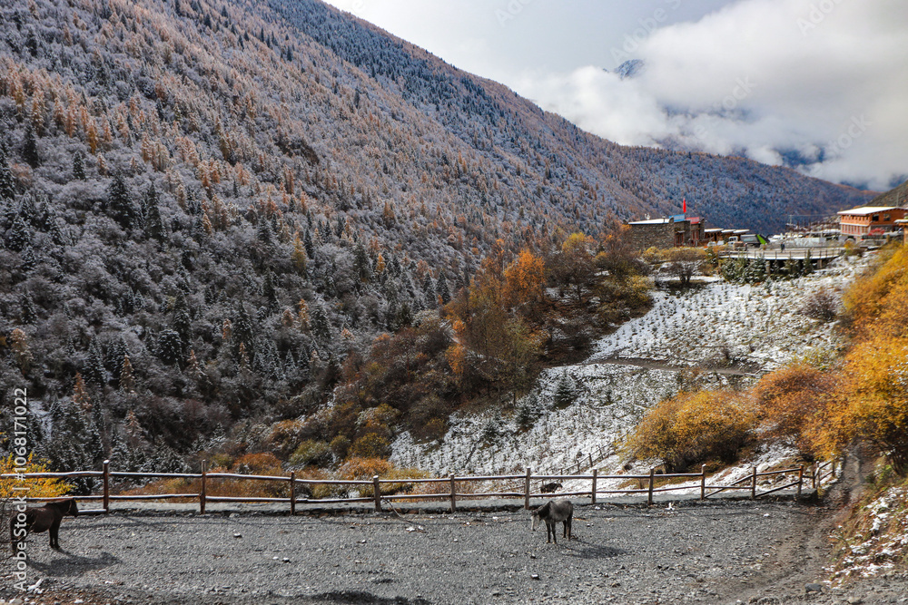 Φωτογραφία Drone aerial photography flying Landscape of Changping Valley, Siguniang National Park in western Sichuan of China