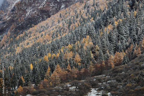 Drone aerial photography flying Landscape of Changping Valley, Siguniang National Park in western Sichuan of China.