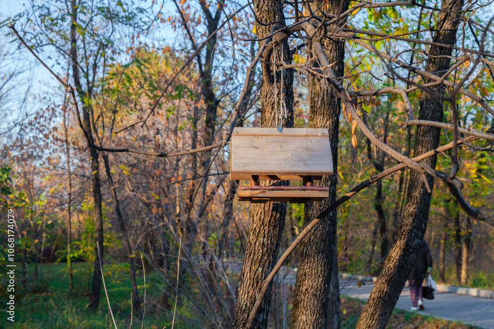 Bird feeder and squirrels on a tree in an autumn park. A wooden birdhouse hangs on a tree trunk Bird feeder and squirrels on a tree in an autumn park. A wooden birdhouse hangs on a tree trunk