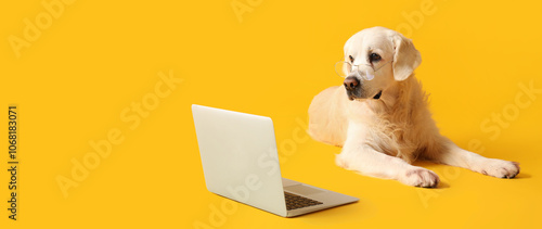 Business dog in eyeglasses with laptop on yellow background photo