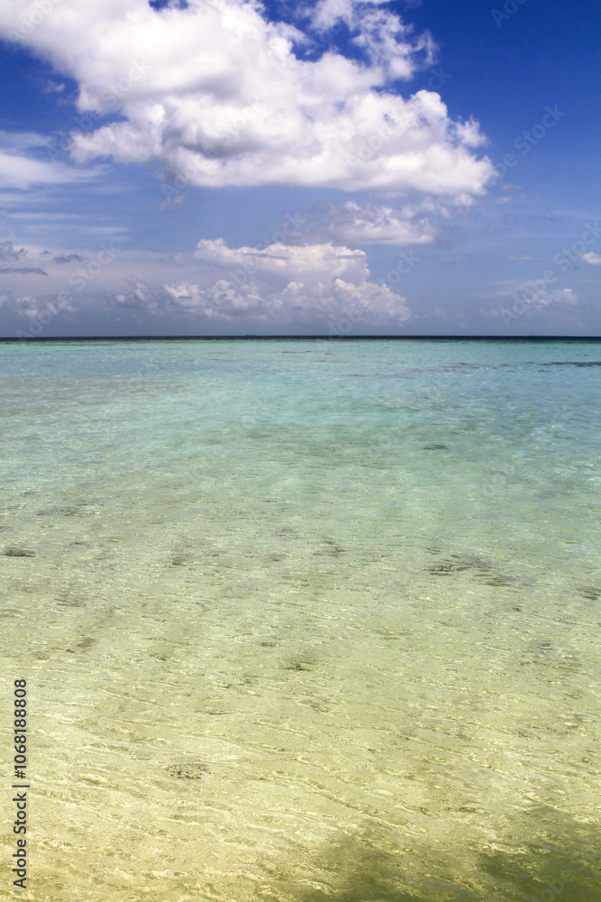 beach with blue sky beach with blue sky