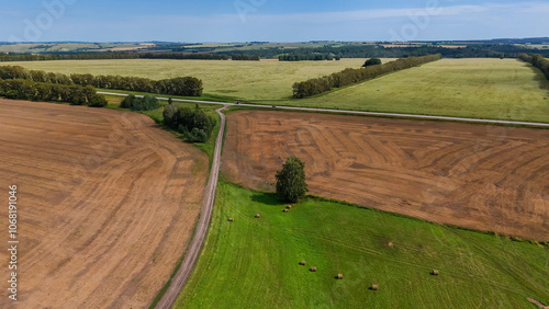 a green meadow field with hay rolls and a country road