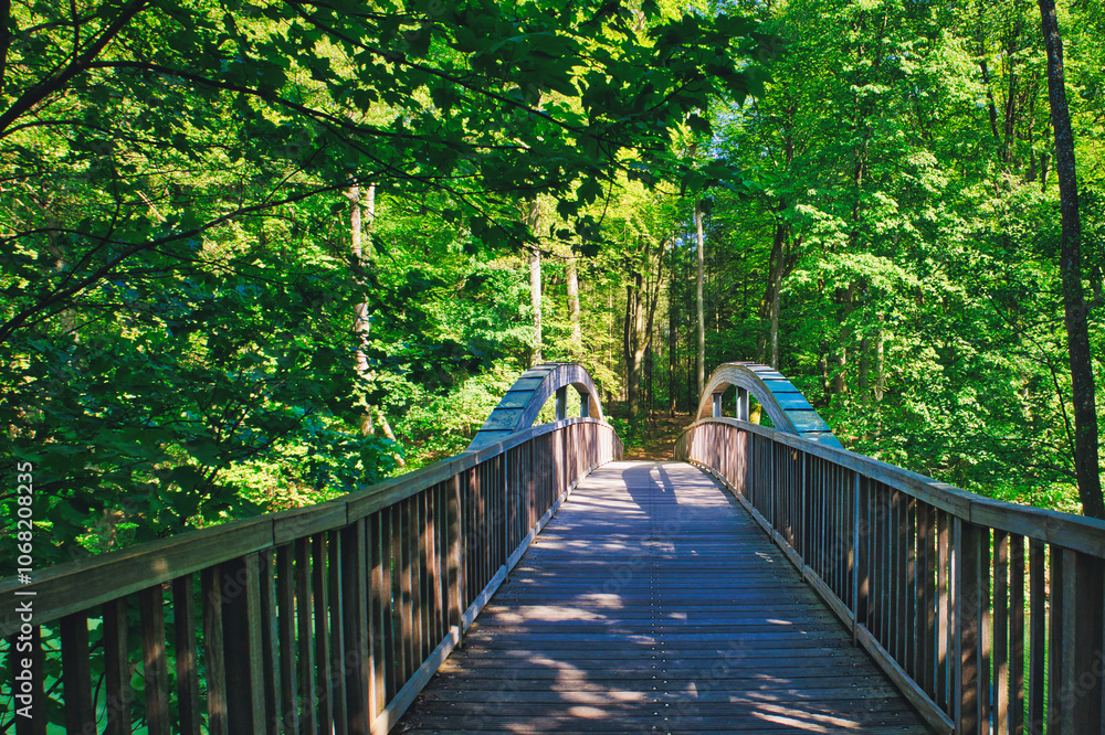 Fototapeta premium Holzbrücke - Brandenburg - Deutschland - Werbellinsee - Barnim - Biosphärenreservat - Schorfheide - Werbellinkanal - Natur - Landschaft - Background - Grün