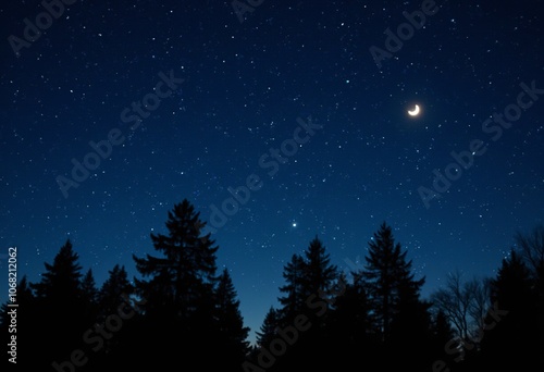 A night sky filled with stars over a silhouette of pine trees, creating a serene and peaceful atmosphere