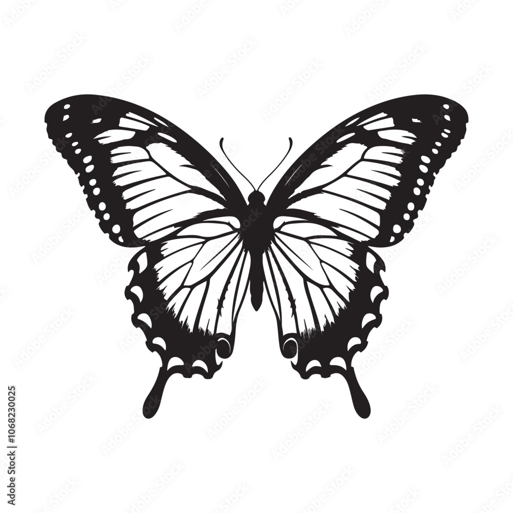 Fototapeta premium Vector illustration of butterfly on white background