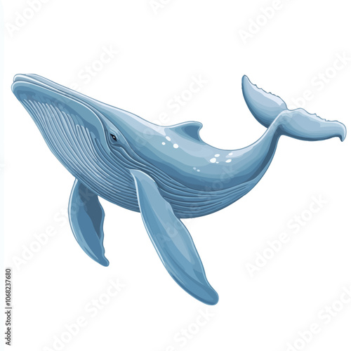 Vector illustration of a blue whale isolated on white background. Cartoon style.