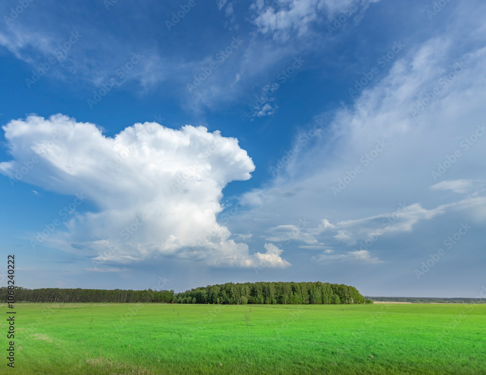 Large cloud is in the sky above a field of grass Large cloud is in the sky above a field of grass